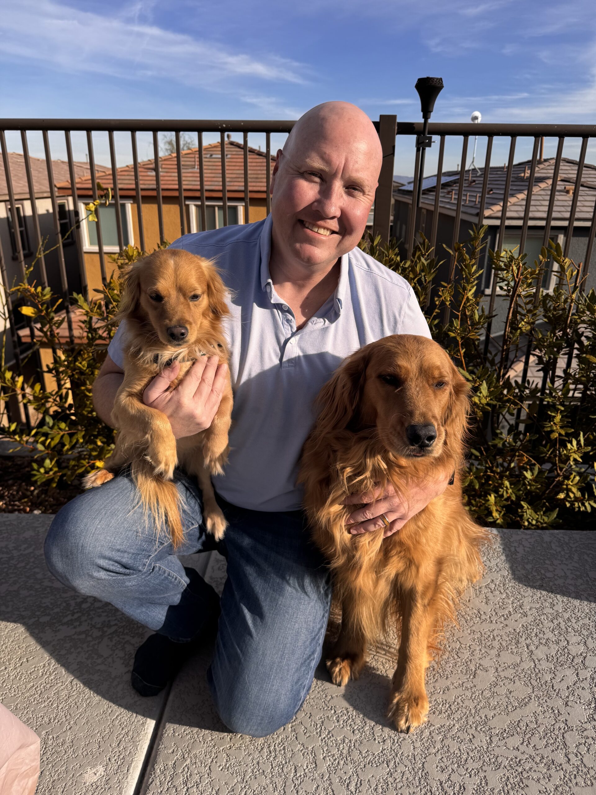 Finley and Oro - The Golden Pack Pet UGC Content